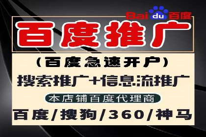 百度竞价广告在电商行业的实战应用案例